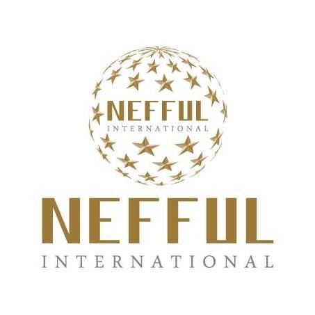 Vision building client Nefful