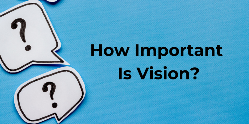 how important is vision