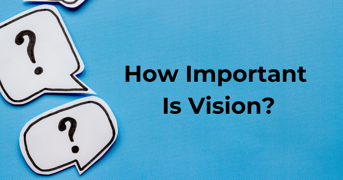 how important is vision