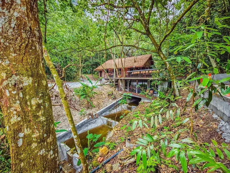 Templer Park Team Building