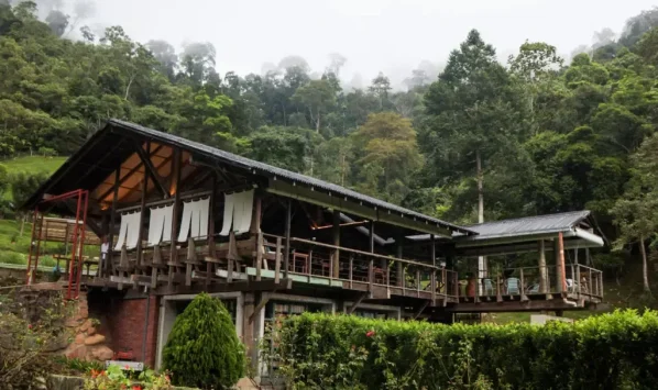 A Little Farm On the Hill Janda Baik Team Building