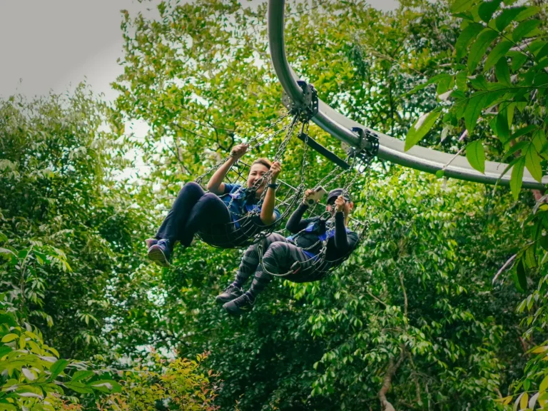 Escape Park Team Building