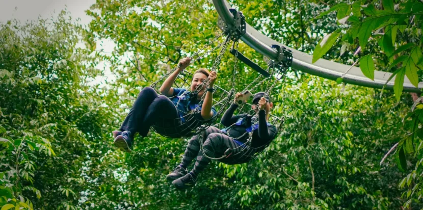 Escape Park Team Building