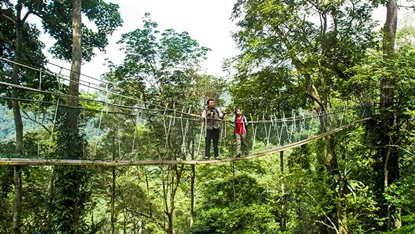2. FRIM Jungle Trek + Silent Team Tasks