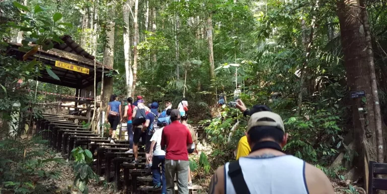 Jungle Trek Team Building