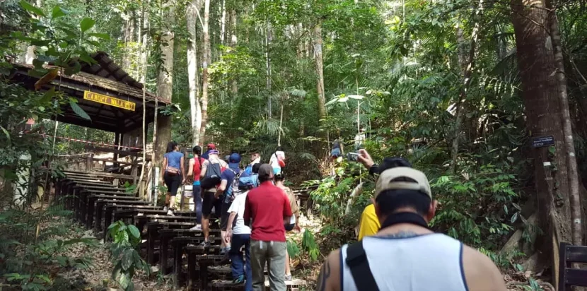 Jungle Trek Team Building