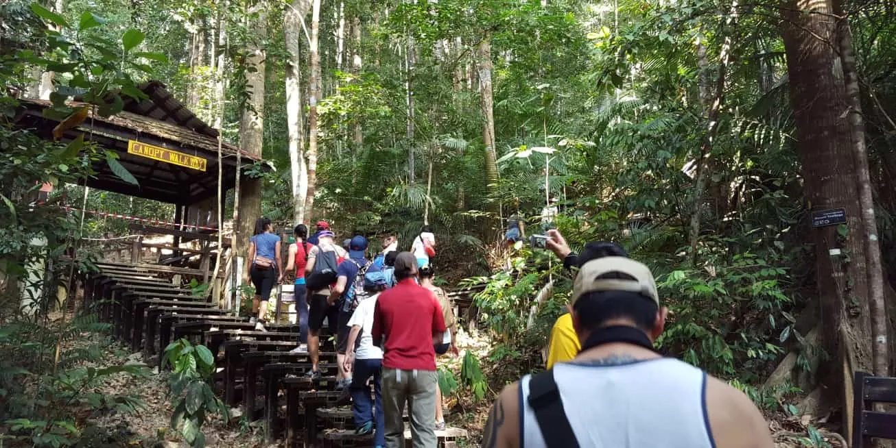 Jungle Trek Team Building