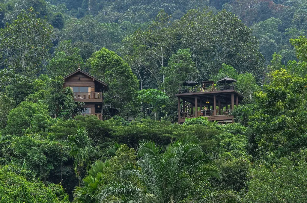 Templer Park Rainforest Retreat Team Building