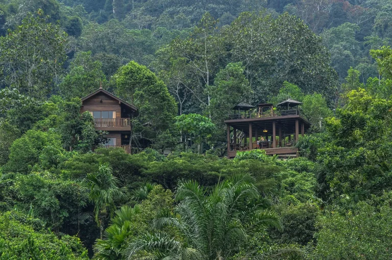 Templer Park Rainforest Retreat Team Building